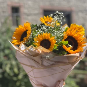 Sunflower Bestseller