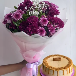 Viola Bundle