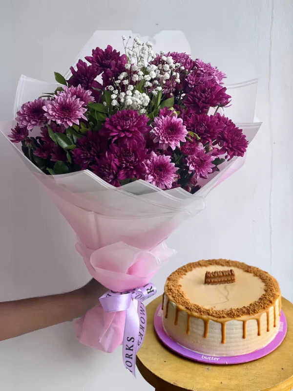 Viola Bundle